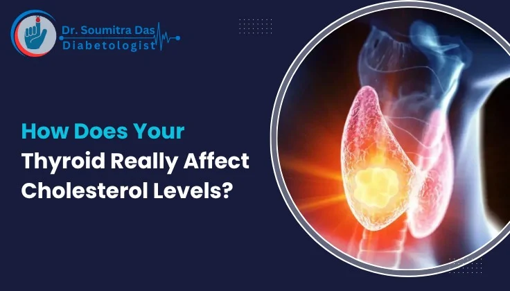 How Does Your Thyroid Really Affect Cholesterol Levels? 
