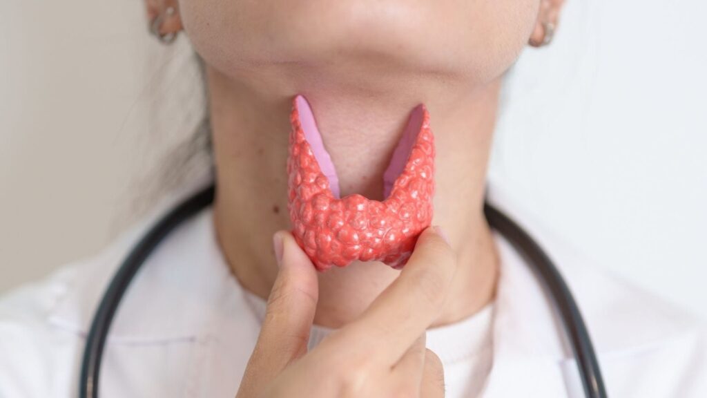 Thyroid Care – Expert Tips & Health Advice